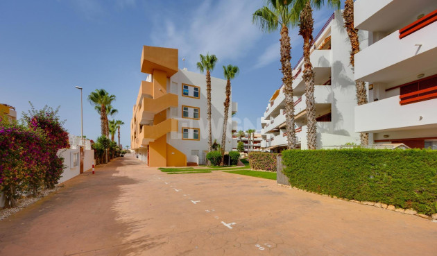 Reventa - Apartamento / piso - Orihuela Costa - Playa Flamenca