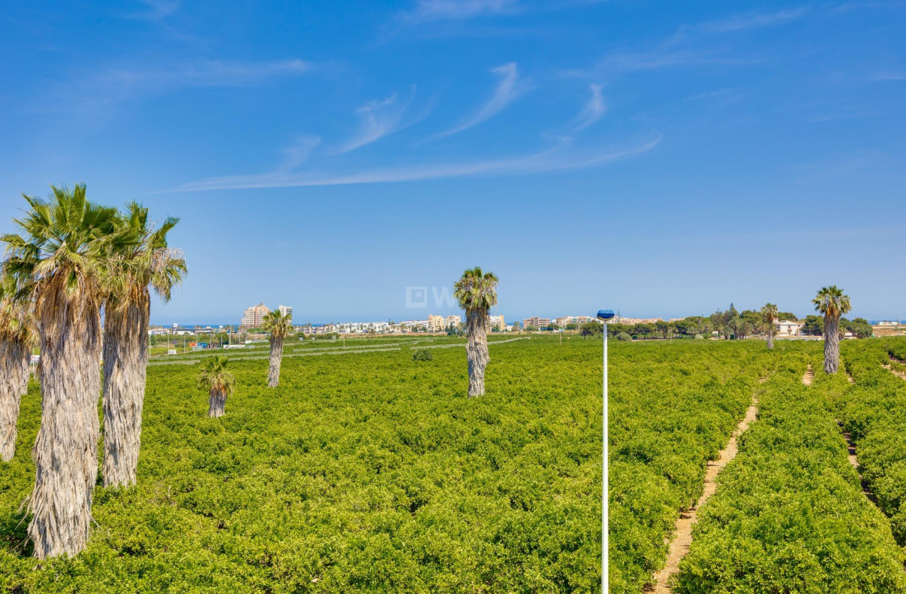 Odsprzedaż - Kamienica - Torrevieja - Los Balcones
