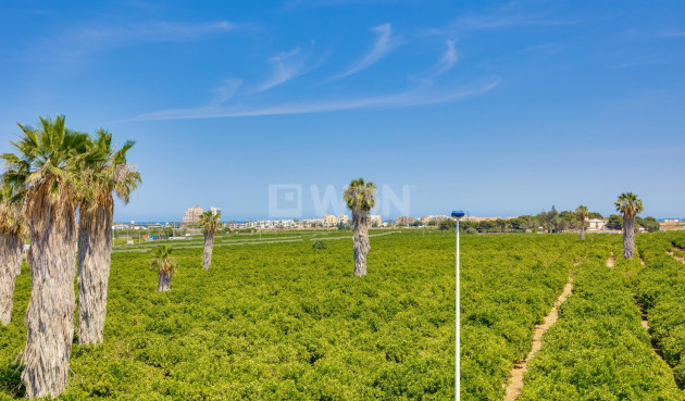 Odsprzedaż - Kamienica - Torrevieja - Los Balcones