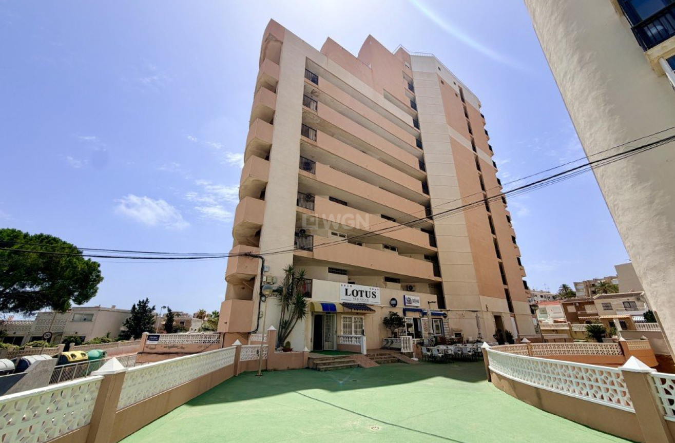 Odsprzedaż - Mieszkanie w bloku - La Mata - Costa Blanca
