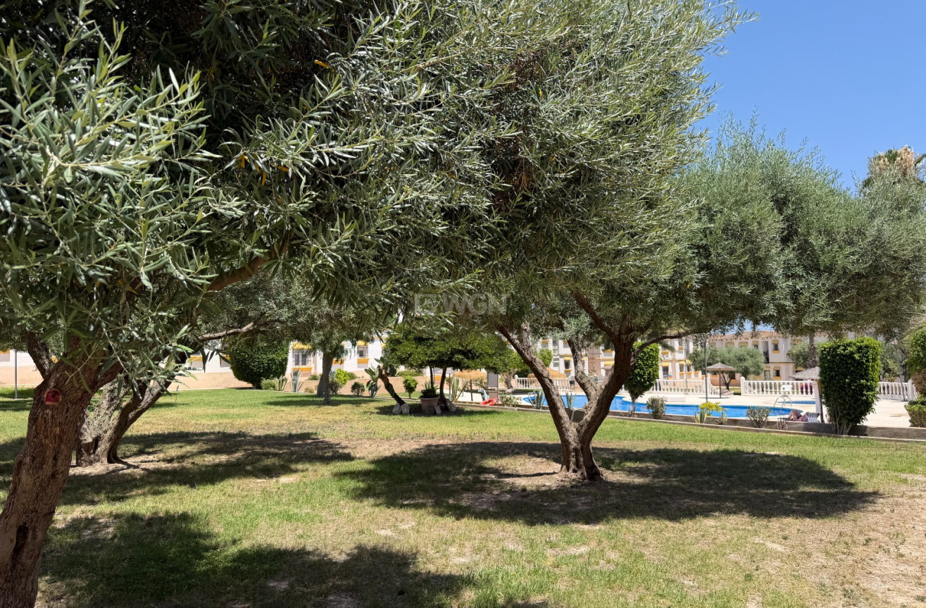 Odsprzedaż - Mieszkanie w bloku - Orihuela Costa - Costa Blanca