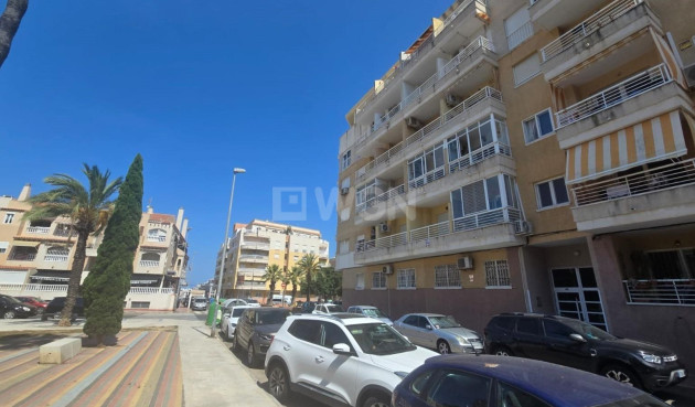 Odsprzedaż - Mieszkanie w bloku - Torrevieja - Habaneras