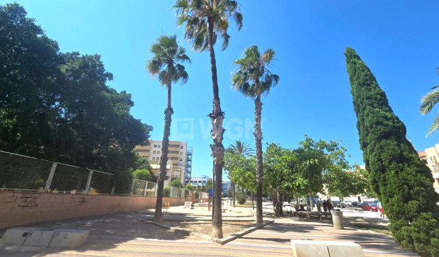 Odsprzedaż - Mieszkanie w bloku - Torrevieja - Habaneras