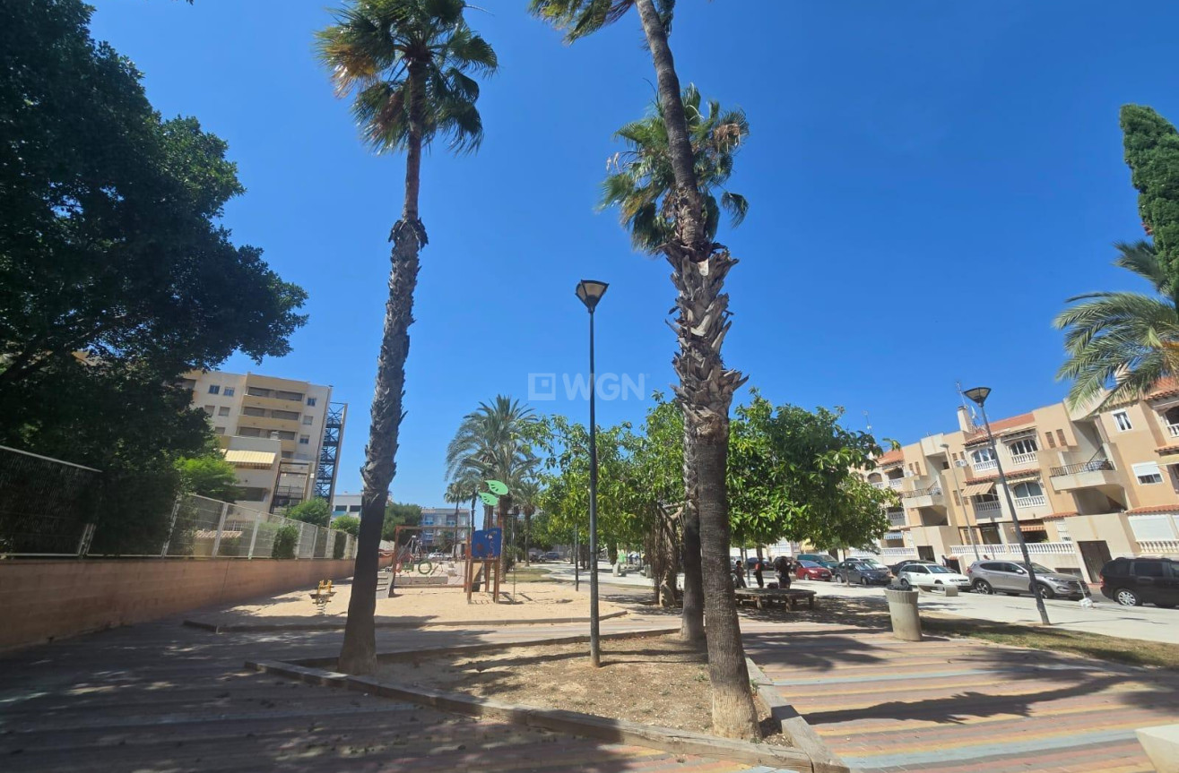 Odsprzedaż - Mieszkanie w bloku - Torrevieja - Habaneras
