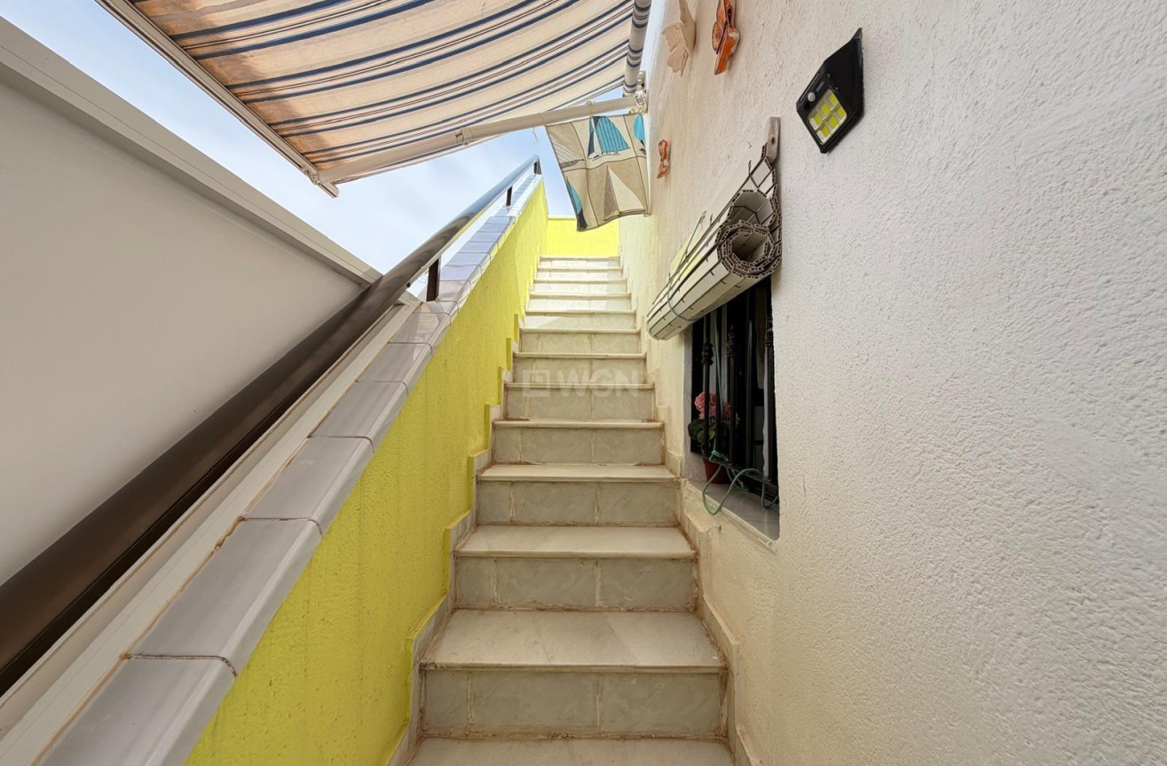 Odsprzedaż - Bungalow - Torrevieja - Torreblanca