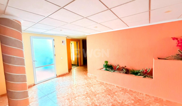 Reventa - Apartamento / piso - Torrevieja - Playa del Cura