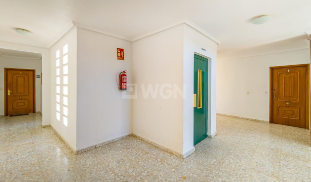 Odsprzedaż - Mieszkanie w bloku - Torrevieja - Playa del Cura