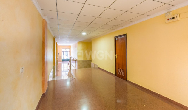 Odsprzedaż - Mieszkanie w bloku - Torrevieja - Playa del Cura