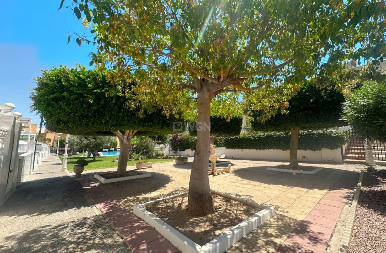 Odsprzedaż - Bungalow - Torrevieja - La Mata