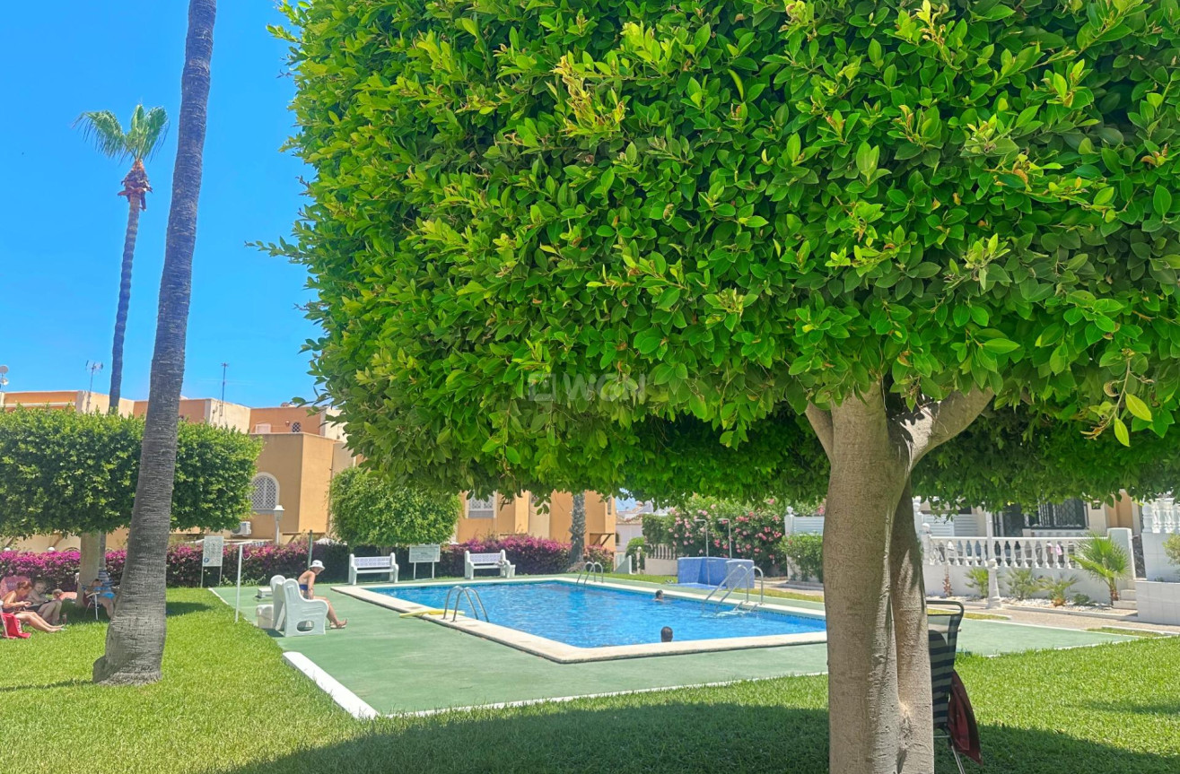 Odsprzedaż - Bungalow - Torrevieja - La Mata
