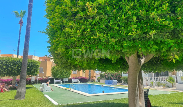 Odsprzedaż - Bungalow - Torrevieja - La Mata