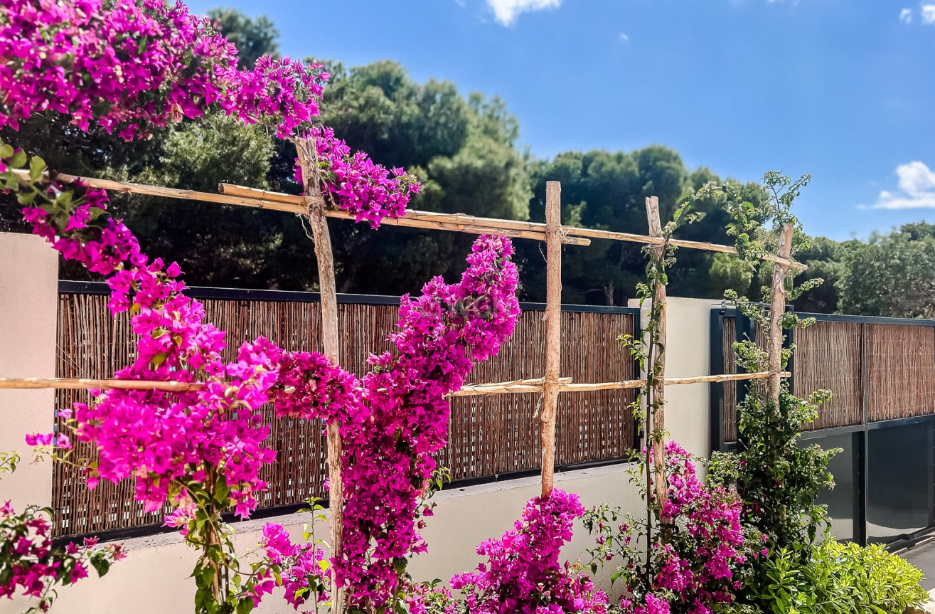 Reventa - Apartamento / piso - Santiago de la ribera - Costa Calida