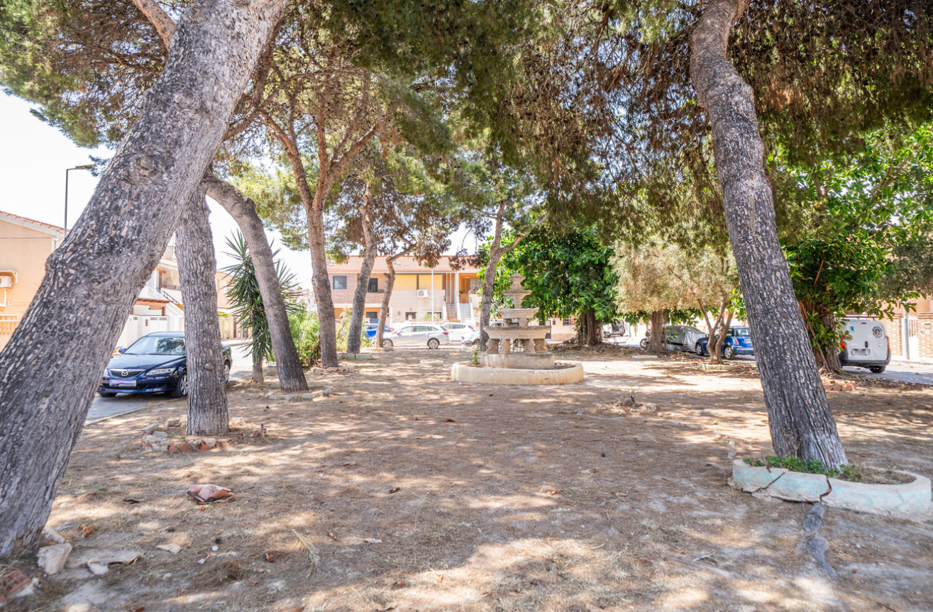 Wiederverkauf - Wohnung - Torrevieja - La Veleta