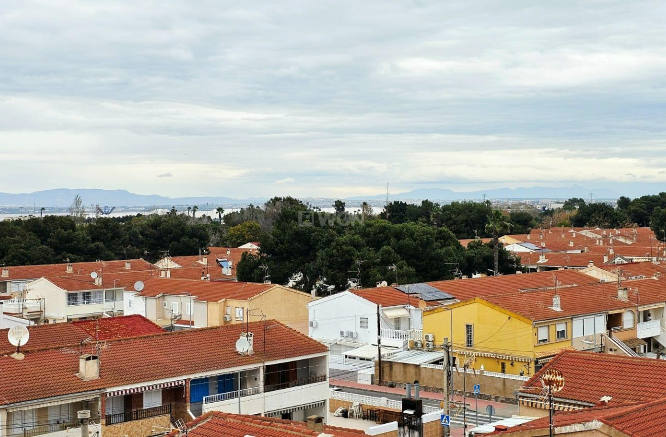 Odsprzedaż - Mieszkanie w bloku - Torrevieja - Playa De Los Naufragos