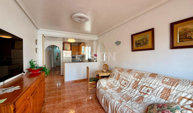 Resale - Penthouse - Torrevieja - Playa del Cura