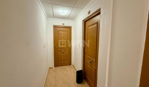 Resale - Penthouse - Torrevieja - Playa del Cura