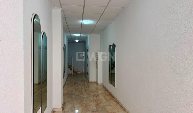 Resale - Penthouse - Torrevieja - Playa del Cura