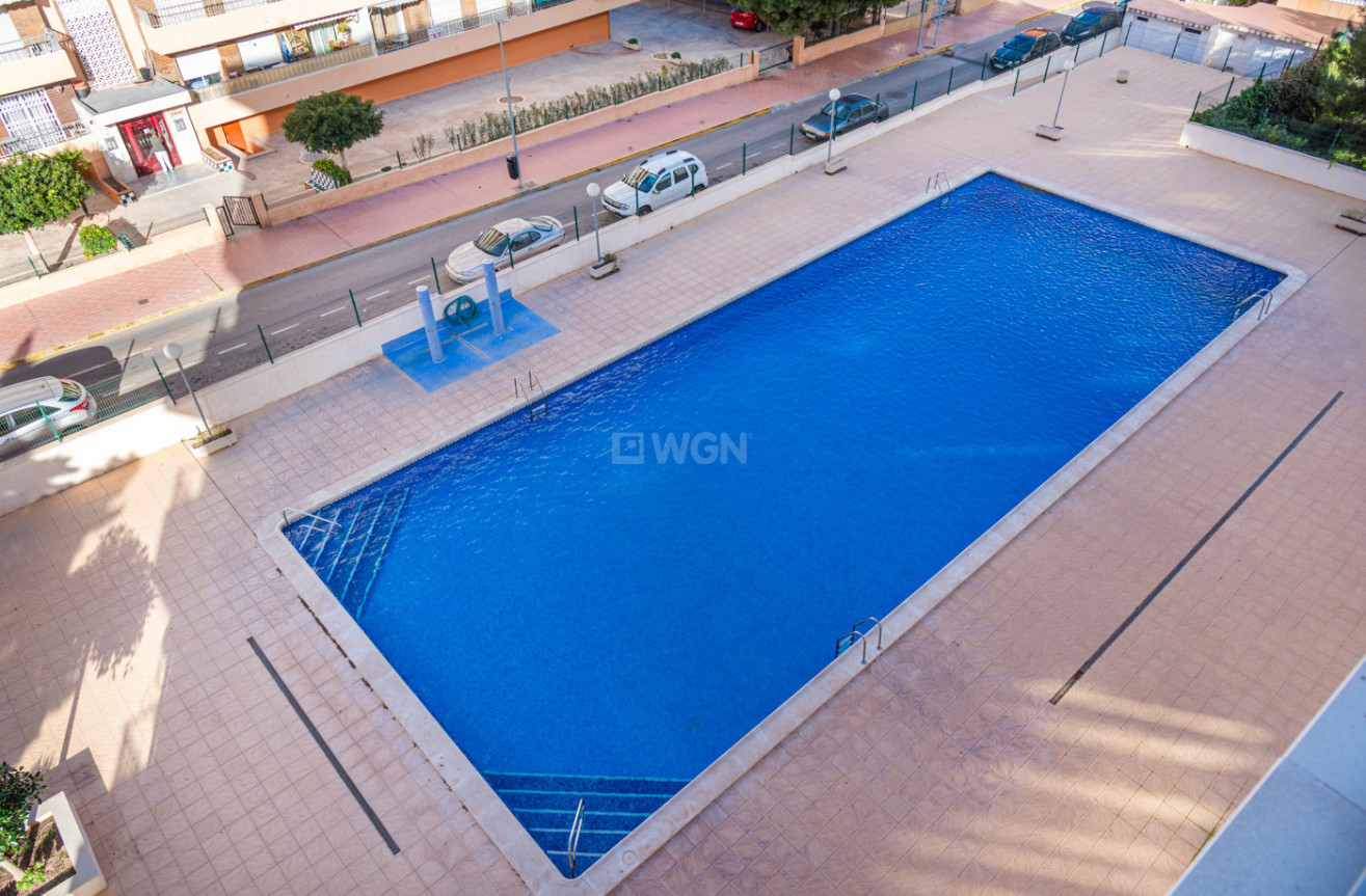Reventa - Apartamento / piso - Torrevieja - Costa Blanca