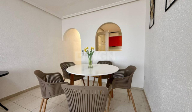 Wiederverkauf - Wohnung - Torrevieja - Acequion