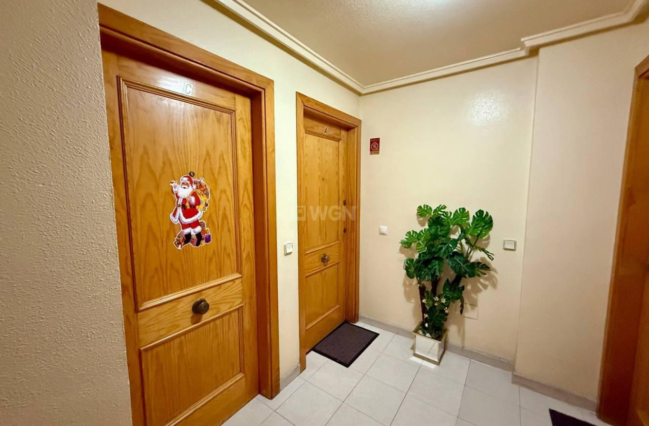 Wiederverkauf - Wohnung - Torrevieja - Acequion