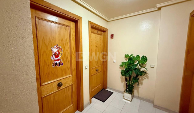 Wiederverkauf - Wohnung - Torrevieja - Acequion