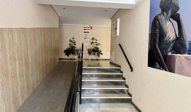 Wiederverkauf - Wohnung - Torrevieja - Acequion