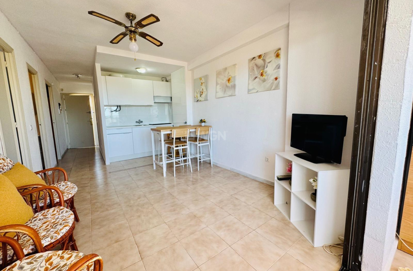 Odsprzedaż - Mieszkanie w bloku - Torrevieja - Cabo Cervera