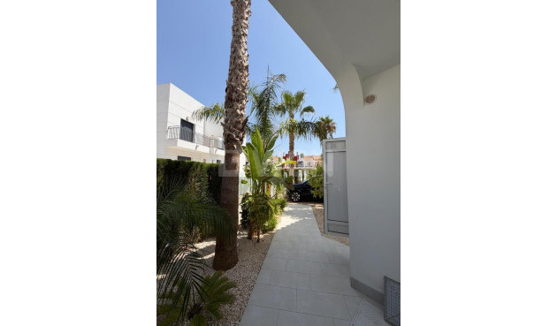 Odsprzedaż - Bungalow - Ciudad Quesada - Costa Blanca