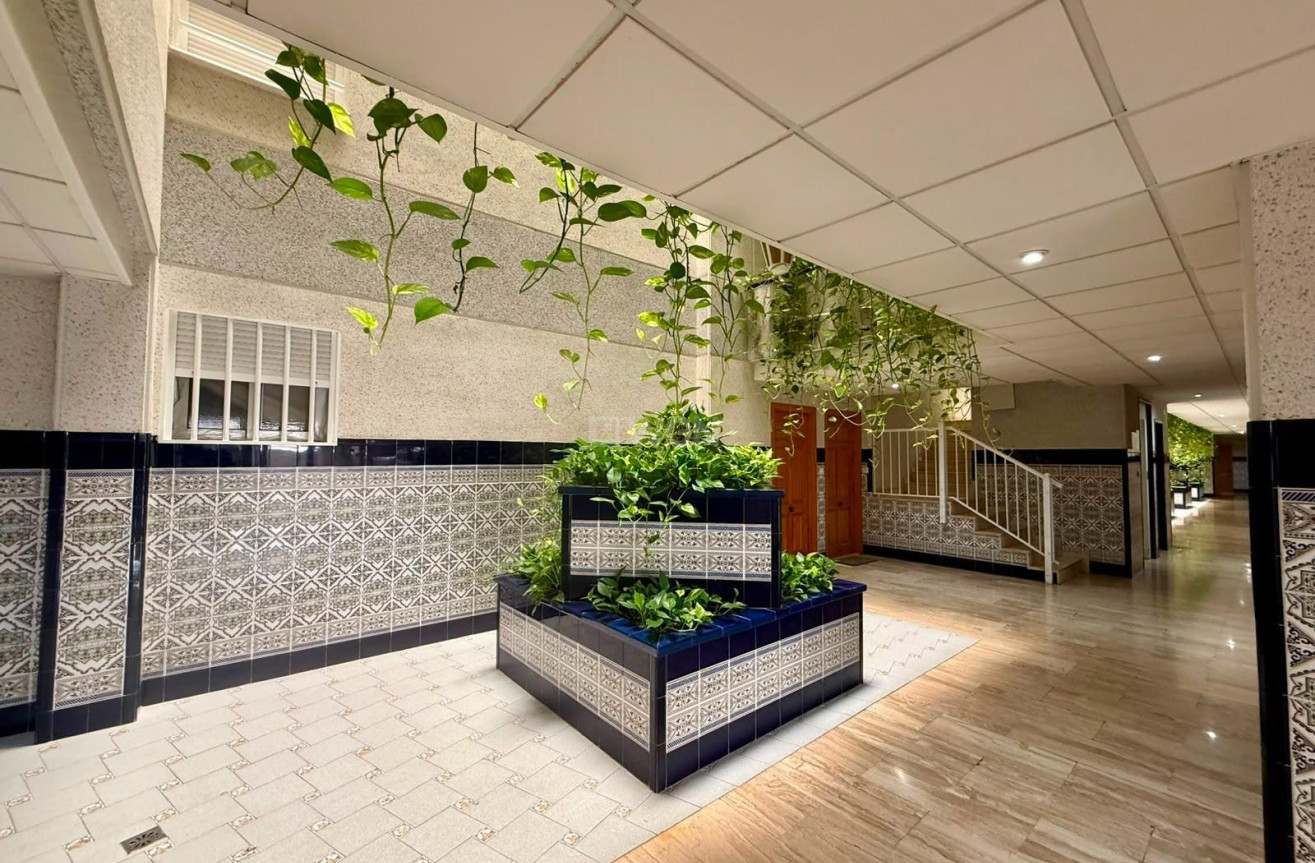 Reventa - Apartamento / piso - Torrevieja - Playa del Cura