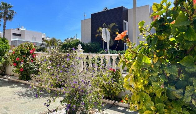 Odsprzedaż - Villa - Torrevieja - Torre La Mata