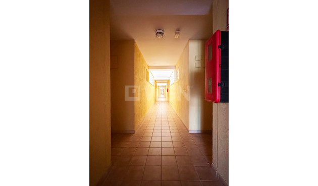 Reventa - Apartamento / piso - Orihuela Costa - Costa Blanca