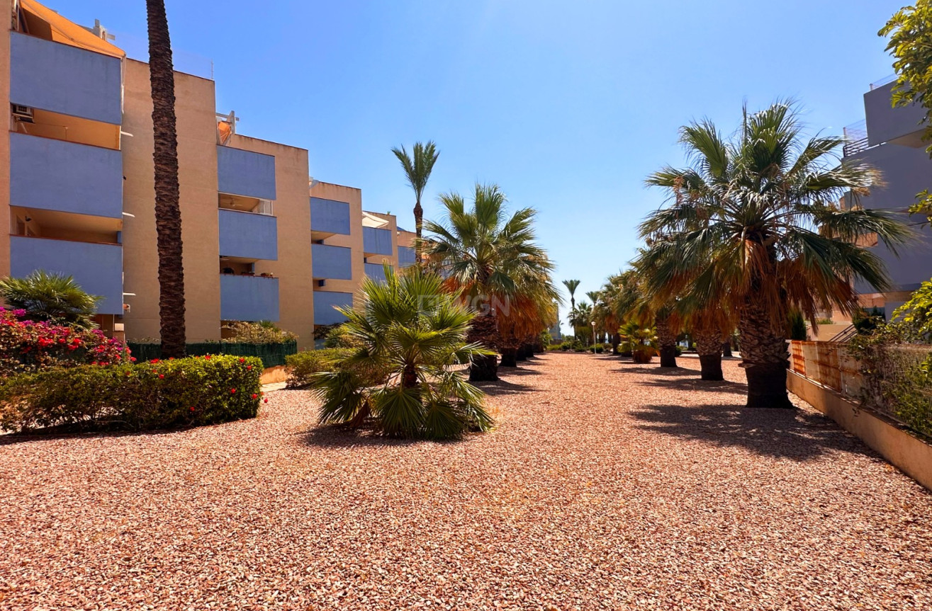 Reventa - Apartamento / piso - Orihuela Costa - Costa Blanca