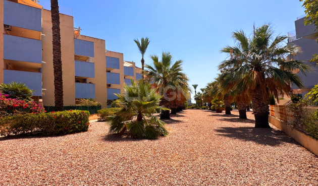 Reventa - Apartamento / piso - Orihuela Costa - Costa Blanca
