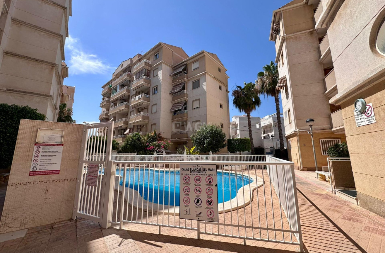 Odsprzedaż - Mieszkanie w bloku - Torrevieja - Habaneras