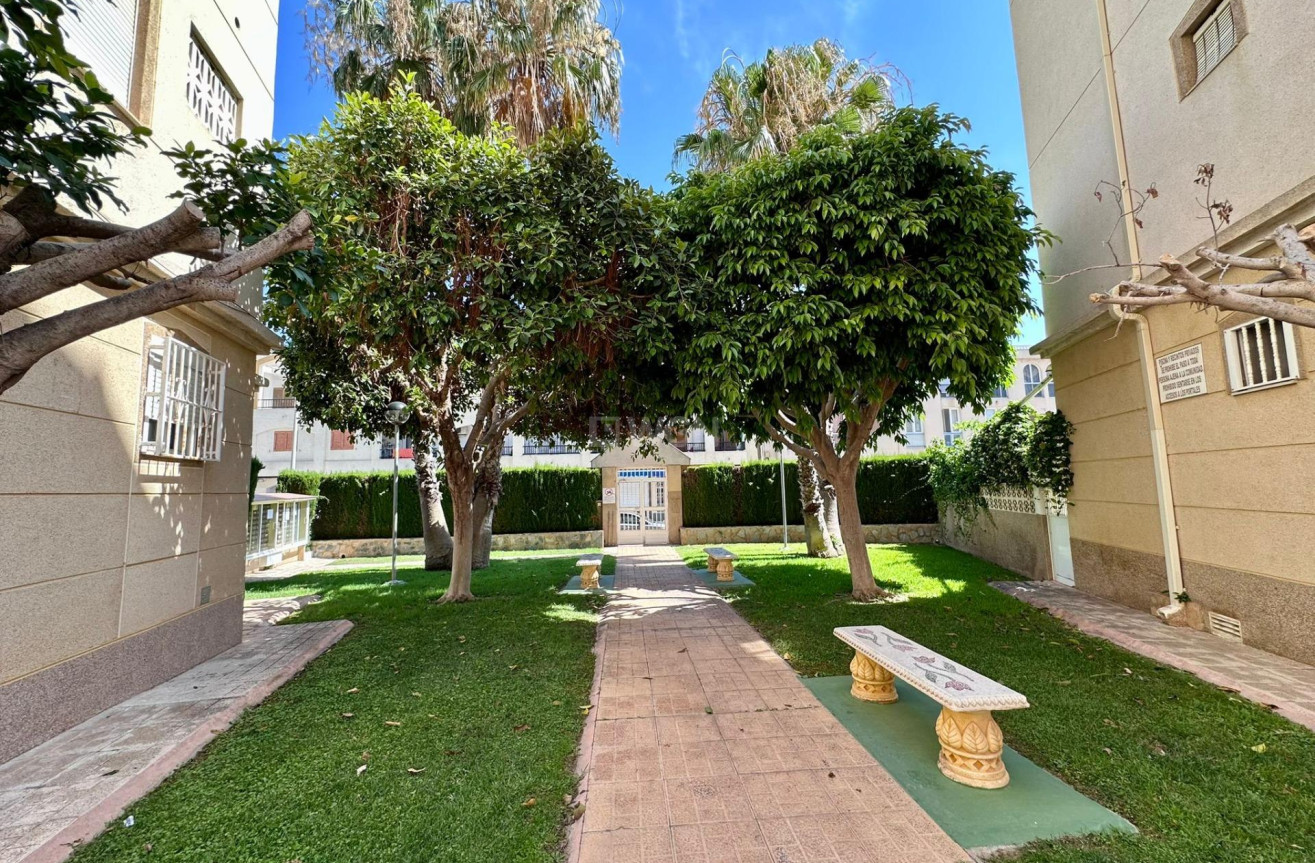 Odsprzedaż - Mieszkanie w bloku - Torrevieja - Habaneras