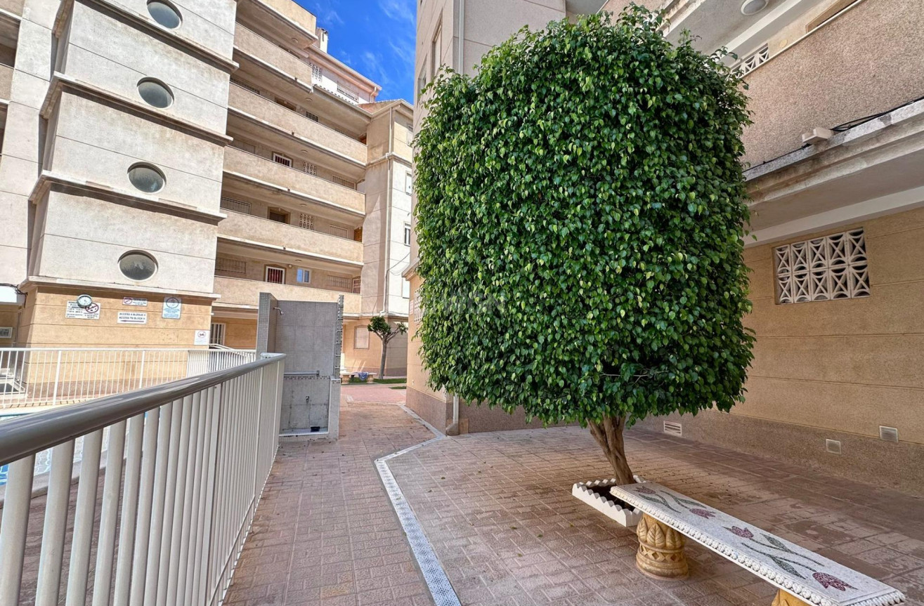 Odsprzedaż - Mieszkanie w bloku - Torrevieja - Habaneras