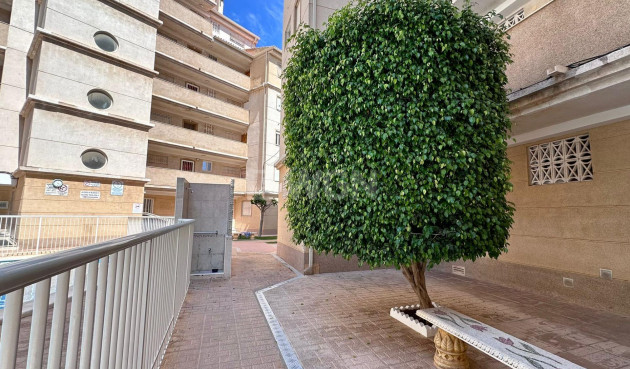 Odsprzedaż - Mieszkanie w bloku - Torrevieja - Habaneras