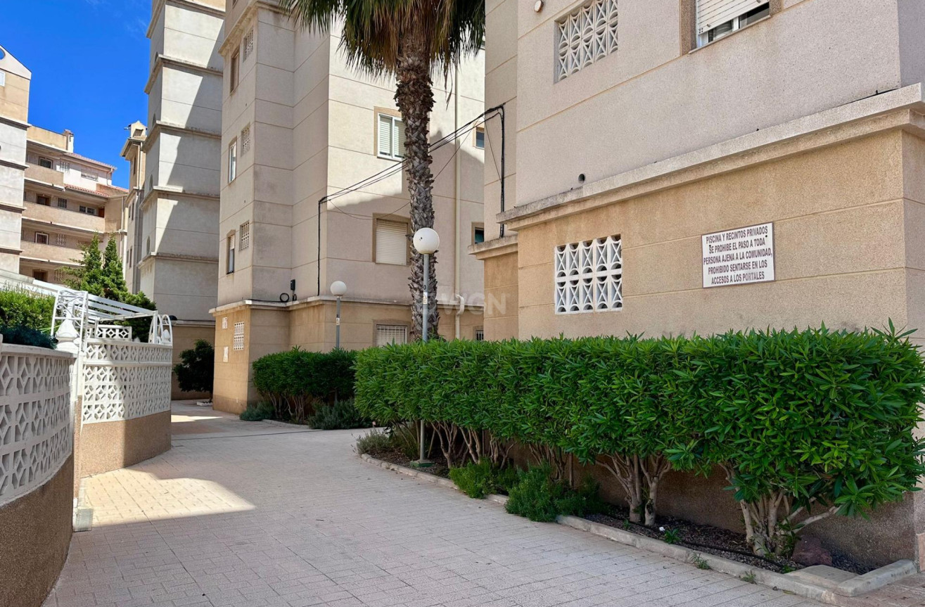 Odsprzedaż - Mieszkanie w bloku - Torrevieja - Habaneras