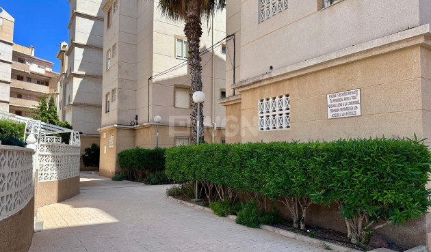Odsprzedaż - Mieszkanie w bloku - Torrevieja - Habaneras