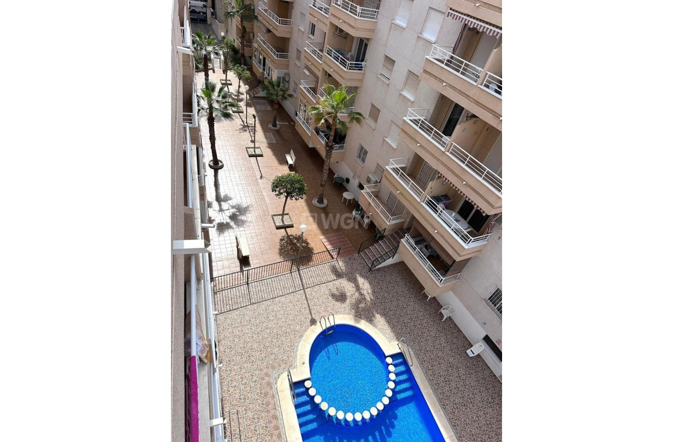 Reventa - Apartamento / piso - Torrevieja - Estacion De Autobuses