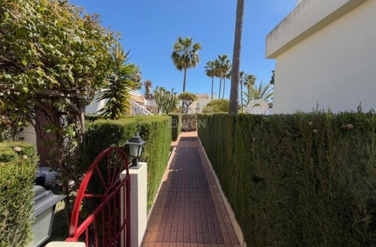 Reventa - Bungalow - Torrevieja - La Siesta