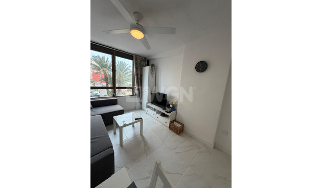 Resale - Apartment / flat - Torrevieja - Cabo Cervera