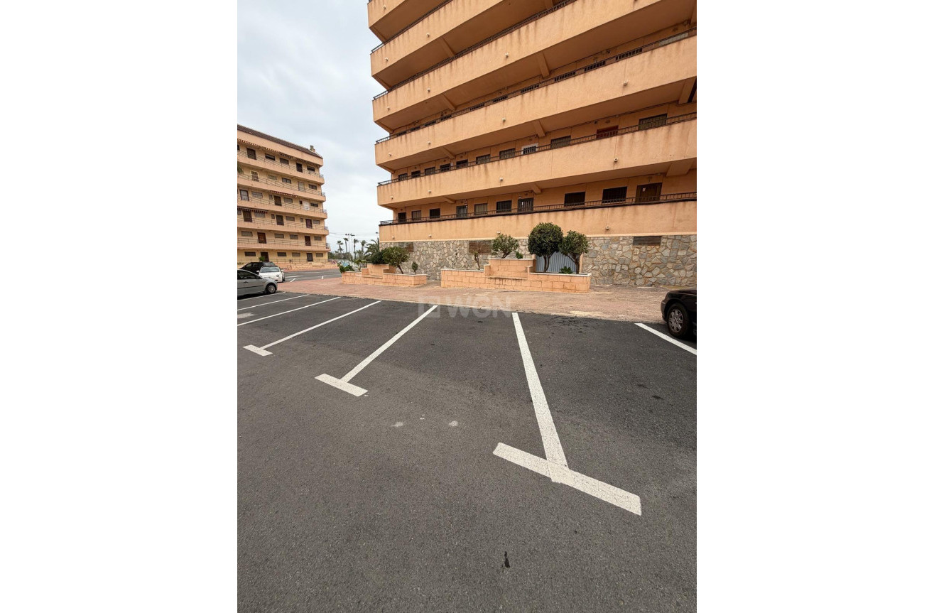 Resale - Apartment / flat - Torrevieja - Cabo Cervera