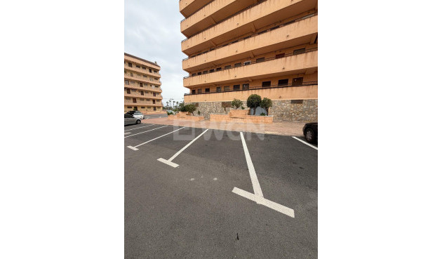Resale - Apartment / flat - Torrevieja - Cabo Cervera