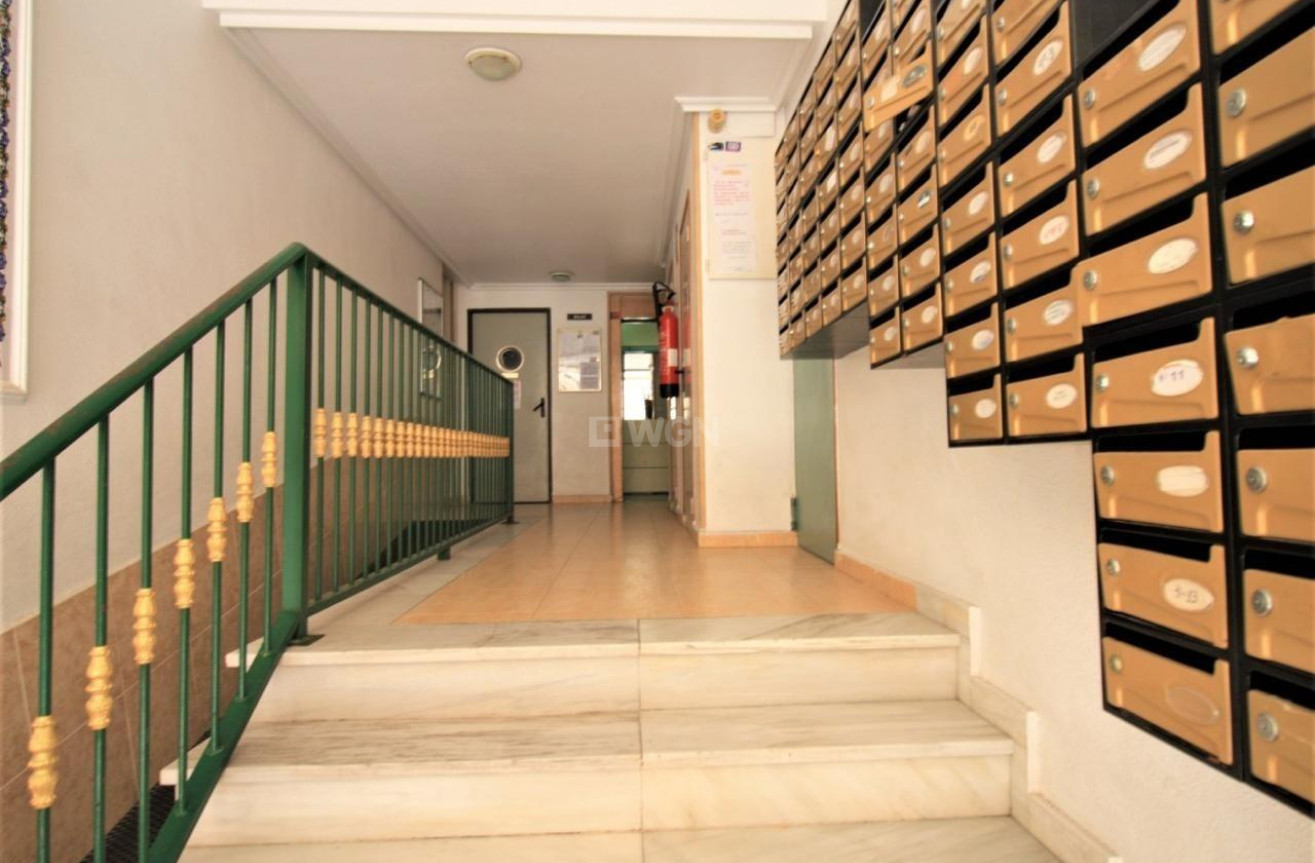 Odsprzedaż - Mieszkanie w bloku - Torrevieja - Centro