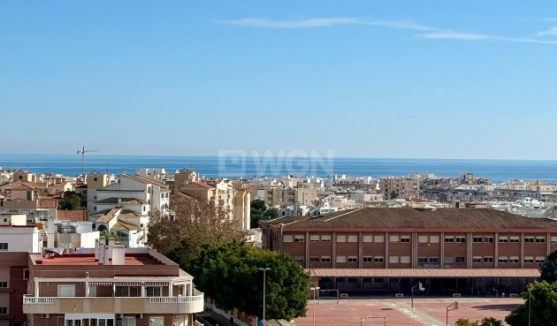 Odsprzedaż - Daszek - Torrevieja - Nueva Torrevieja