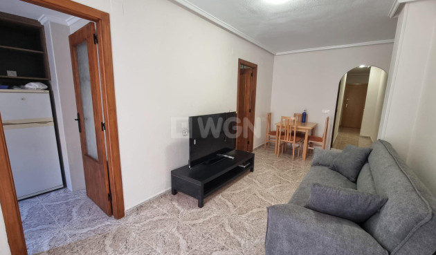 Odsprzedaż - Mieszkanie w bloku - Torrevieja - Acequion
