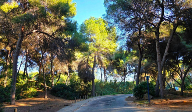 Resale - Townhouse - Orihuela Costa - Altos De Campoamor
