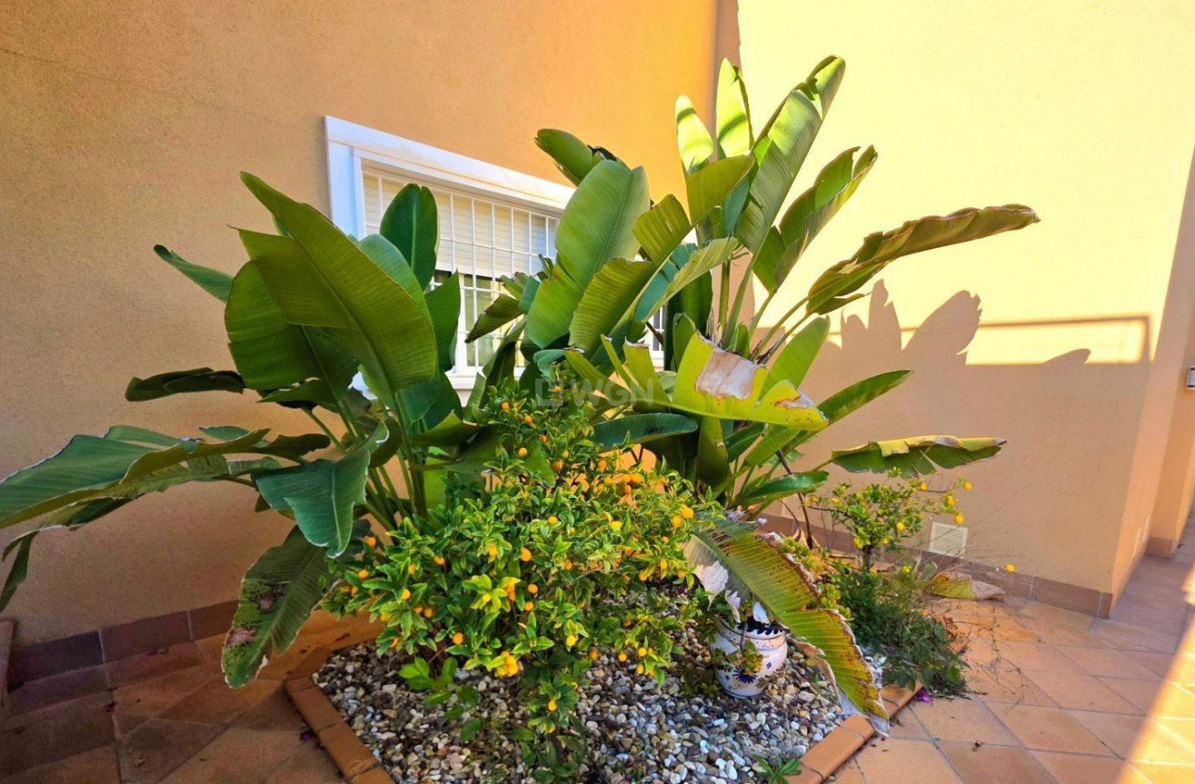 Resale - Townhouse - Orihuela Costa - Altos De Campoamor