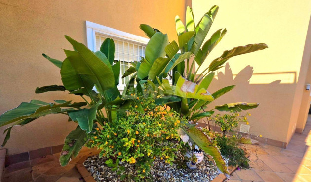 Resale - Townhouse - Orihuela Costa - Altos De Campoamor